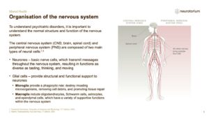 Mental Health - Fundamentals of Neurobiology - slide 3